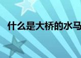 什么是大桥的水马（大桥的水马什么意思）