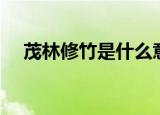 茂林修竹是什么意思（茂林修竹的解释）