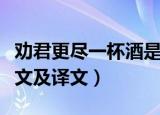 劝君更尽一杯酒是哪首诗（劝君更尽一杯酒原文及译文）
