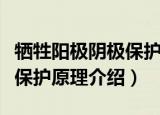 牺牲阳极阴极保护原理是什么（牺牲阳极阴极保护原理介绍）