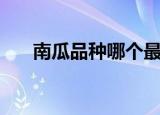 南瓜品种哪个最甜（南瓜有哪些品种）