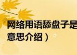 网络用语舔盘子是什么意思（网络用语舔盘子意思介绍）
