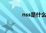 nss是什么意思（nss解释）