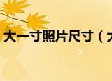 大一寸照片尺寸（大一寸照片标准尺寸介绍）