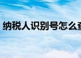 纳税人识别号怎么查（纳税人识别号如何查）
