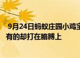  9月24日蚂蚁庄园小鸡宝宝问题 为什么有的针要打在屁股上有的却打在胳膊上