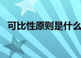 可比性原则是什么意思（可比性原则简介）