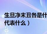 生旦净末丑各是什么意思指什么（生旦净末丑代表什么）