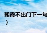 朝霞不出门下一句（朝霞不出门下一句是什么）