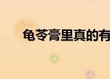 龟苓膏里真的有乌龟吗（龟苓膏介绍）