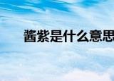 酱紫是什么意思啊（酱紫的意思解析）