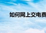 如何网上交电费（网上交电费的方法）