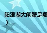 阳澄湖大闸蟹是哪的（阳澄湖大闸蟹产地介绍）