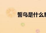 誓鸟是什么意思（什么是誓鸟）