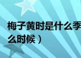 梅子黄时是什么季节意思（梅子黄时指的是什么时候）