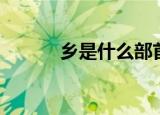 乡是什么部首（乡部首是什么）
