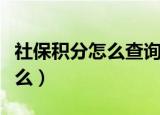 社保积分怎么查询（查询社保积分的方法是什么）