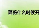 蔷薇什么时候开花（蔷薇的开花时间）