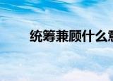 统筹兼顾什么意思（统筹兼顾解释）