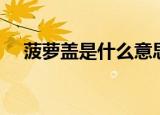 菠萝盖是什么意思（菠萝盖意思是什么）