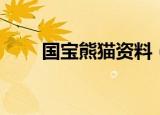 国宝熊猫资料（国宝熊猫简单介绍）