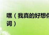 嘿（我真的好想你是什么歌 这首歌的完整歌词）