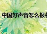 中国好声音怎么报名（如何报名中国好声音）