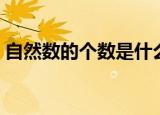 自然数的个数是什么（什么是自然数的个数）