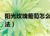 阳光玫瑰葡萄怎么种植（阳光玫瑰葡萄种植方法）