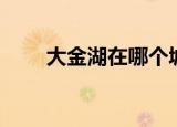 大金湖在哪个城市（大金湖在哪里）