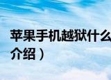 苹果手机越狱什么意思（苹果手机越狱的意思介绍）