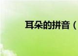 耳朵的拼音（耳朵的拼音及解释）
