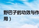 野巴子的功效与作用（关于野巴子的功效与作用）