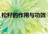 松籽的作用与功效（关于松籽的作用与功效）