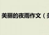 美丽的夜雨作文（美丽的夜雨作文分段示例）