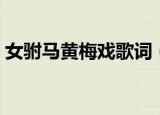女驸马黄梅戏歌词（女驸马黄梅戏歌词全文）