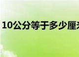 10公分等于多少厘米（公分和厘米了解一下）