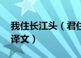 我住长江头（君住长江尾是谁的词 这首词的译文）