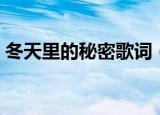 冬天里的秘密歌词（冬天里的秘密整首歌词）