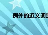 例外的近义词是什么（例外的意思）