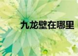 九龙壁在哪里（九龙壁在什么地方）