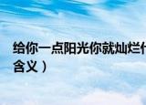 给你一点阳光你就灿烂什么意思（给你一点阳光你就灿烂的含义）