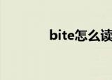 bite怎么读音（bite的意思）