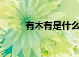 有木有是什么梗（有木有的含义）