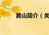 黄山简介（关于黄山的简单介绍）