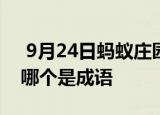  9月24日蚂蚁庄园小鸡宝宝问题 以下选项中哪个是成语