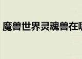 魔兽世界灵魂兽在哪抓（哪个位置抓灵魂兽）