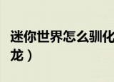 迷你世界怎么驯化黑龙（迷你世界如何驯化黑龙）