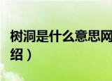 树洞是什么意思网络用语（网络语树洞含义介绍）