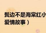 鬓边不是海棠红小说讲什么（商细蕊程凤台的爱情故事）